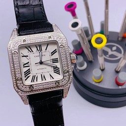 Cartier De Santos Classic Diamond White Dial High Version